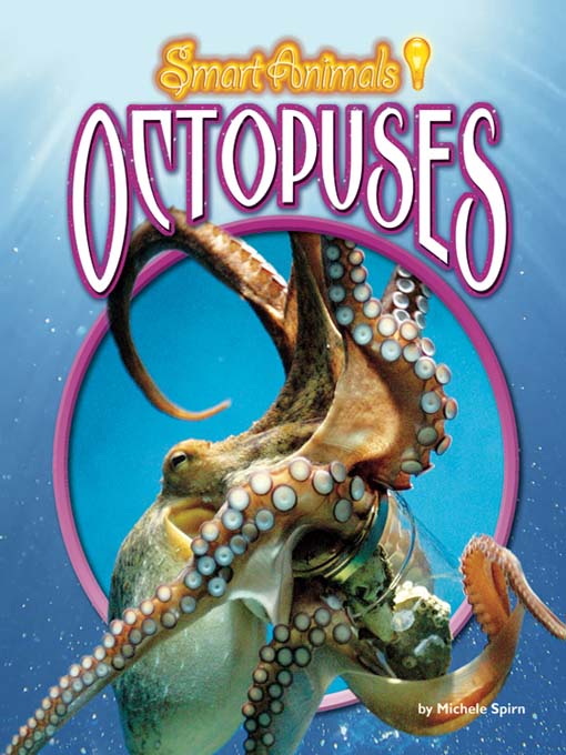 Cover image for Octopuses